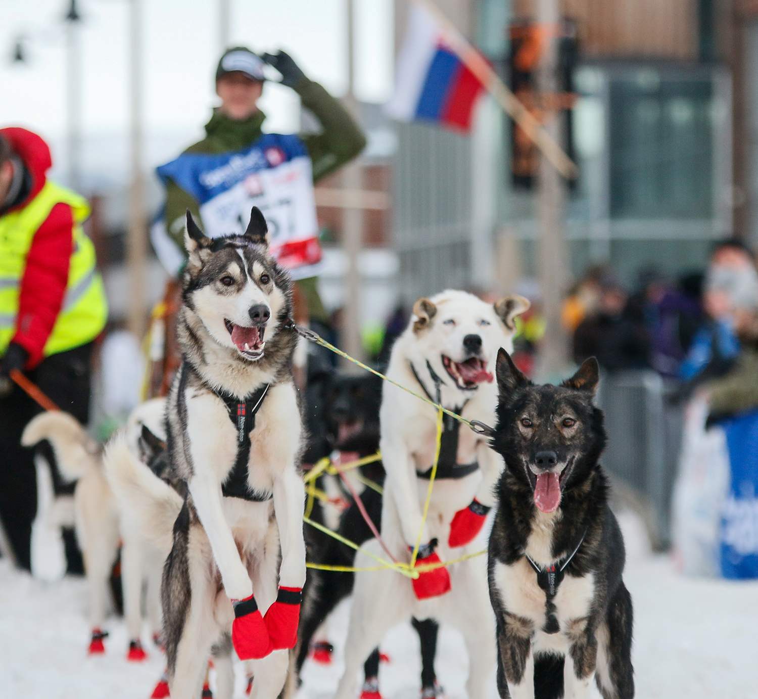Finnmarksløpet