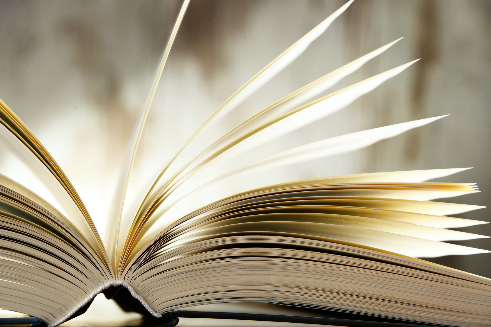 Spotkanie na temat kultury i literatury Polski oraz Somalii