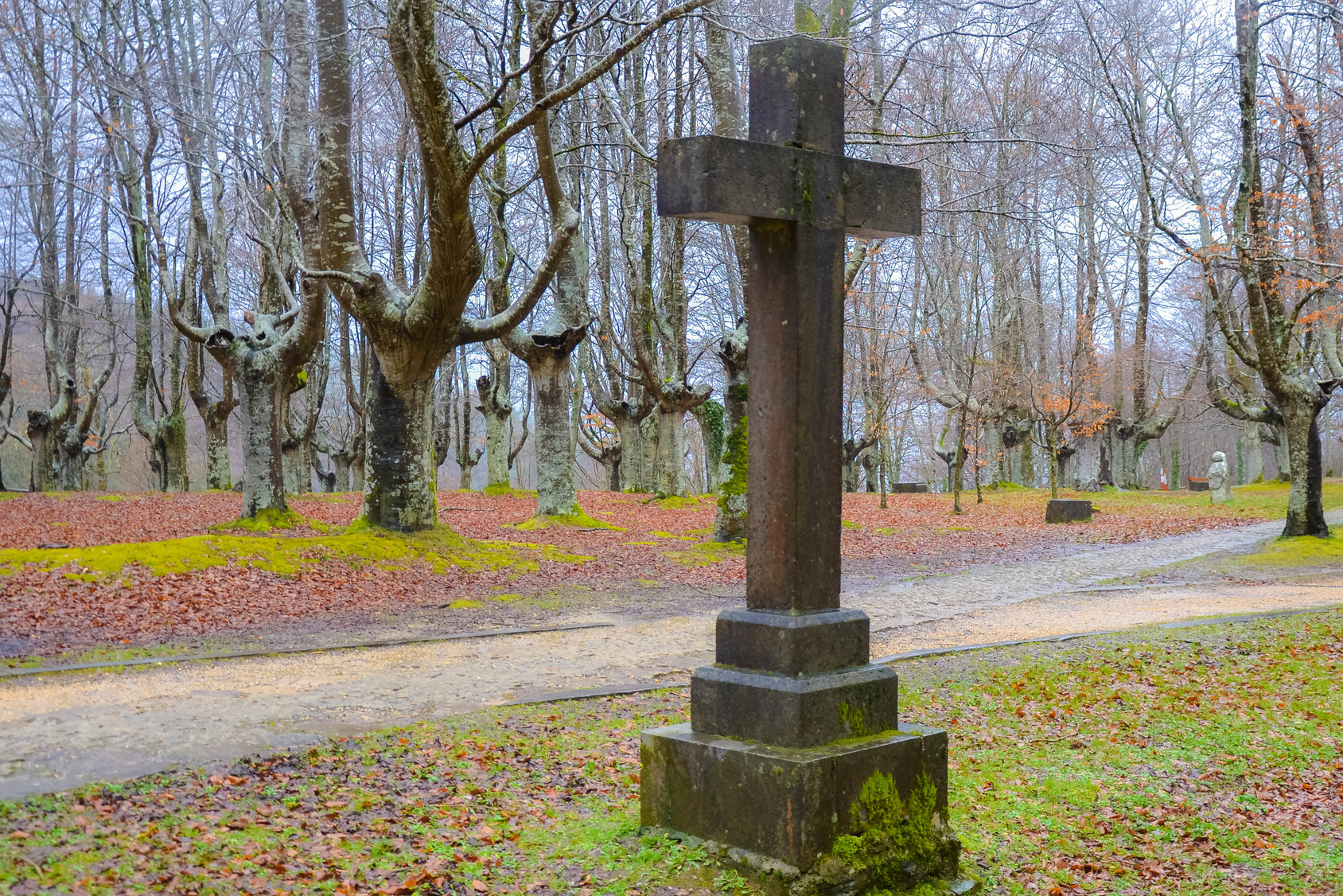 Msza święta dla ofiar Katynia i katastrofy smoleńskiej
