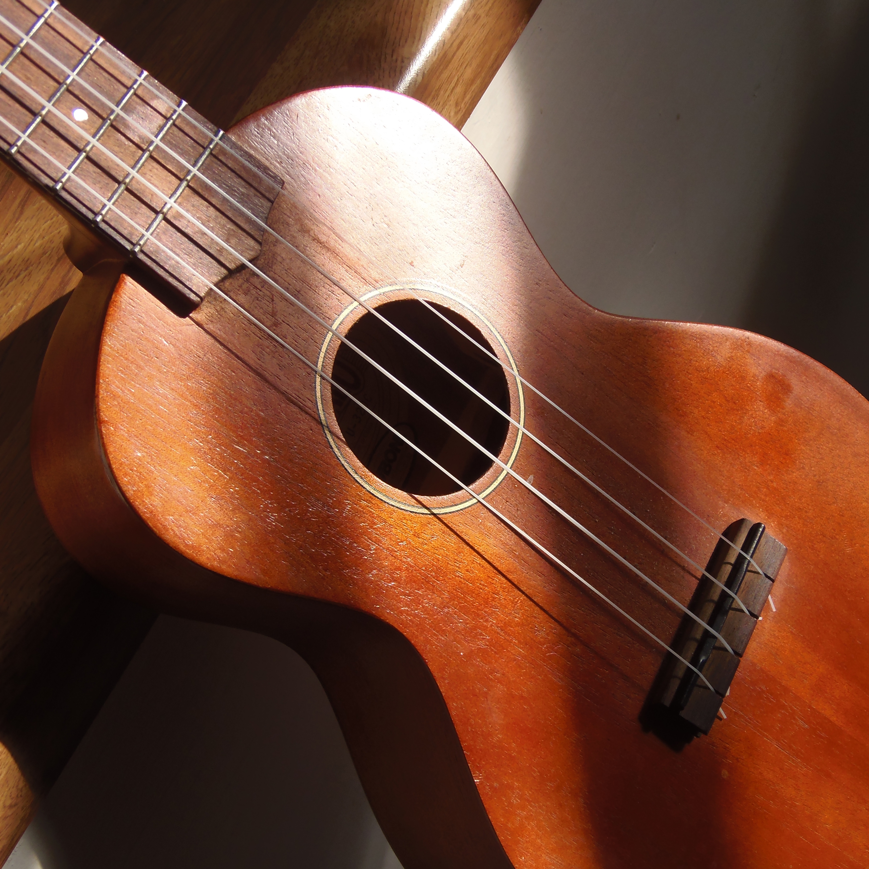 Kurs gry na Ukulele