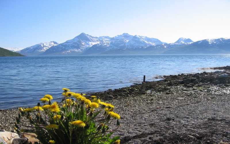 Górskie wyzwanie w Tromsø