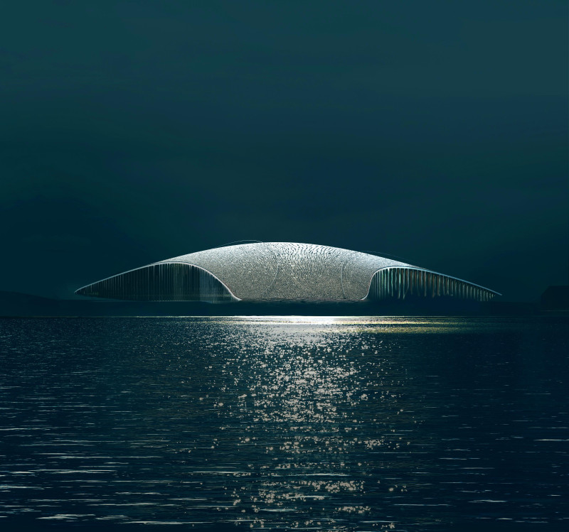 Obserwatorium The Whale ma powstać w 2020 roku.
