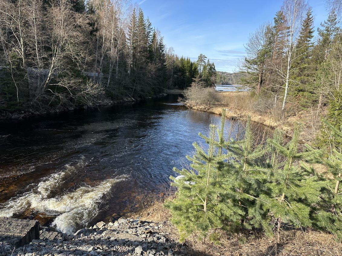 Ekolodzy zwracają uwagę, że coraz więcej walorów przyrodniczych Norwegii jest zagrożonych. Winę za taki rozwój zdarzeń ponosi ocieplenie klimatu oraz działania człowieka.