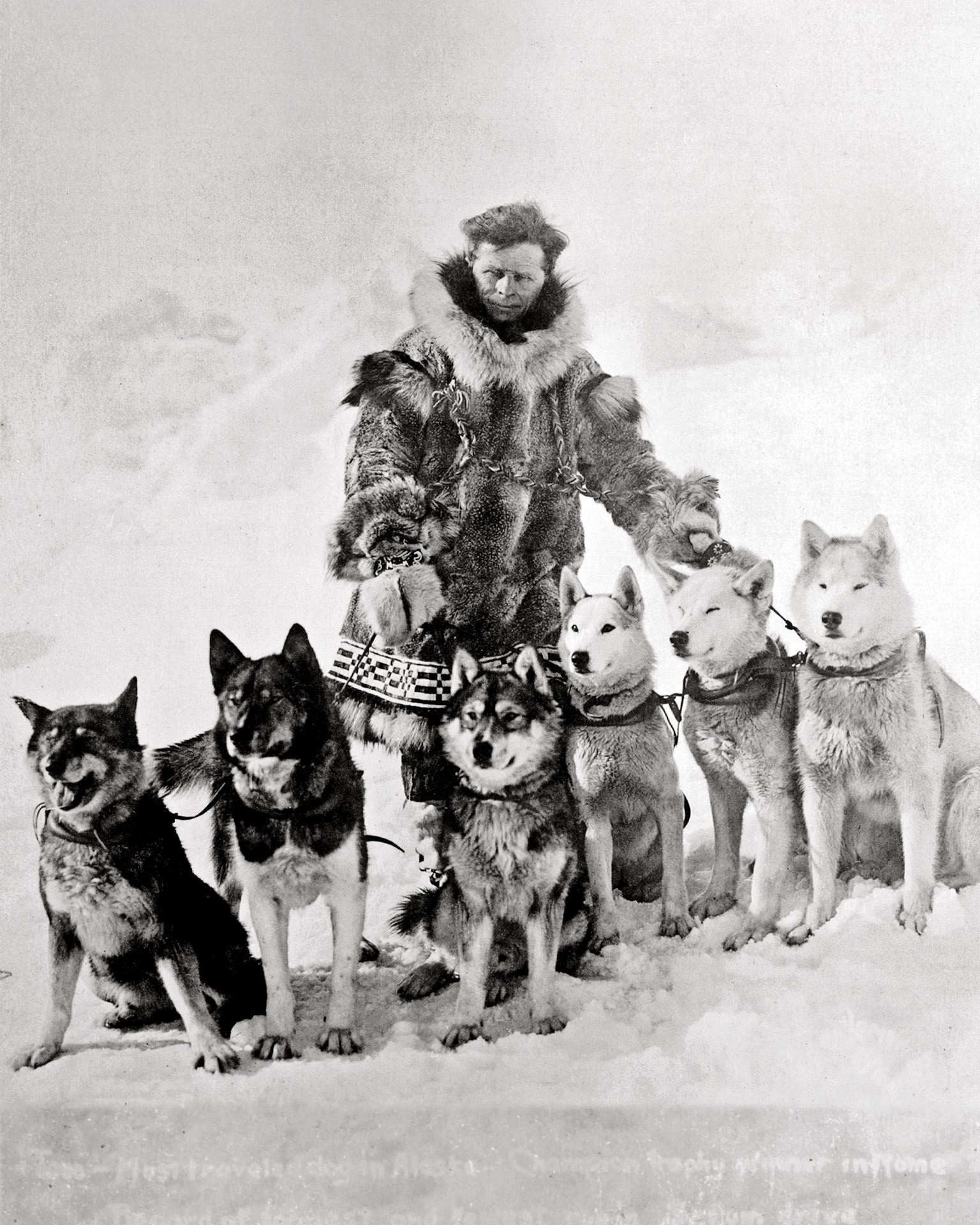 Leonhard Seppala razem psami zaprzęgowymi ze swojej hodowli. Od lewej do prawej: Togo, Karinsky, Jafet, Pete, Ilsa i Fritz (c. 1924-1925).