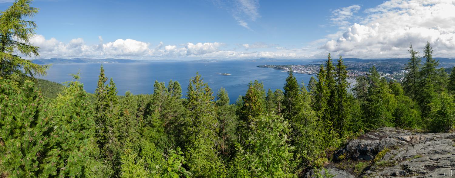 Stąd rozciąga się wspaniały widok na fiord i miasto