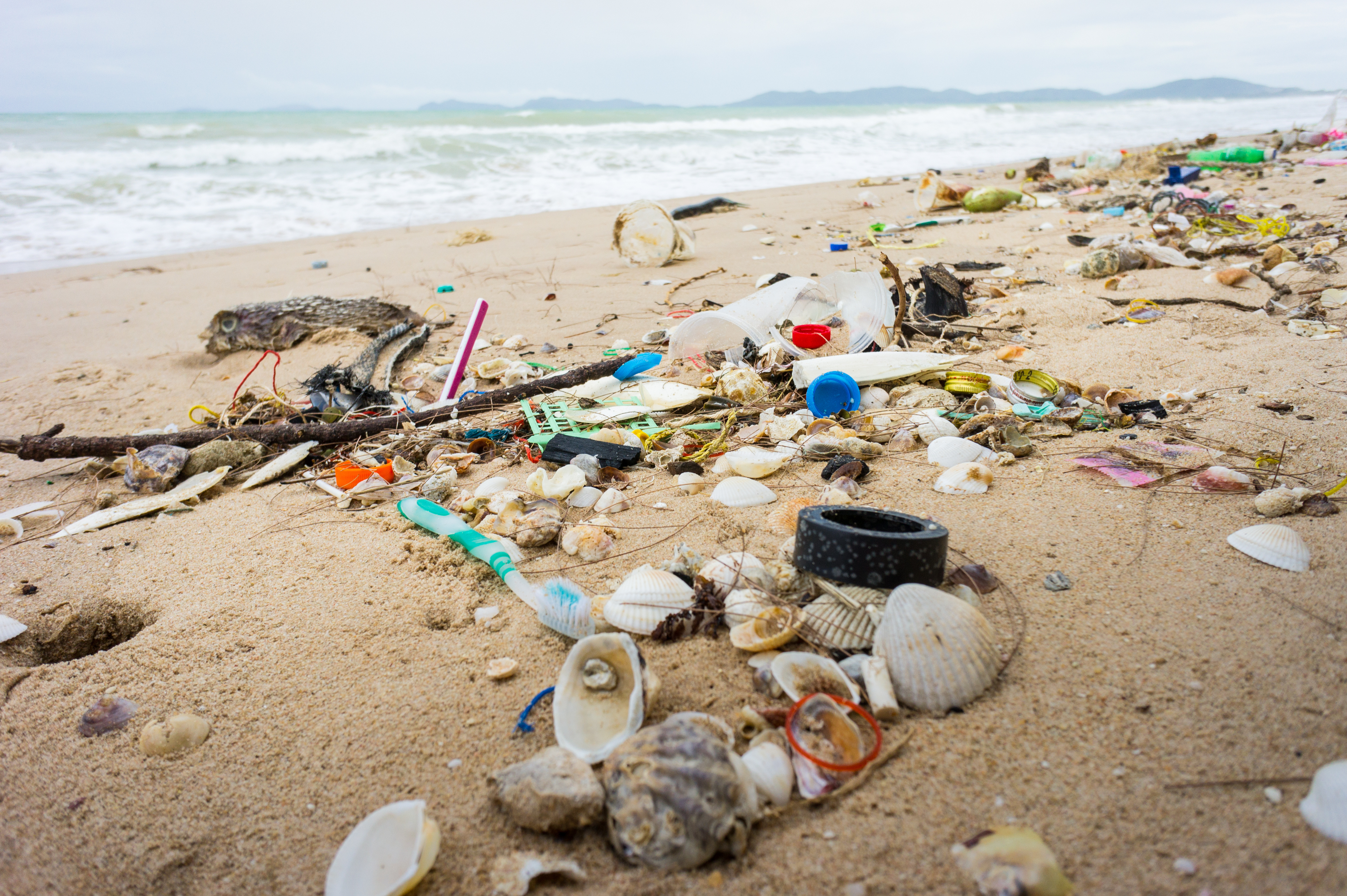 Kraj fiordów rocznie przeznacza na sprzątanie plaż miliony koron.