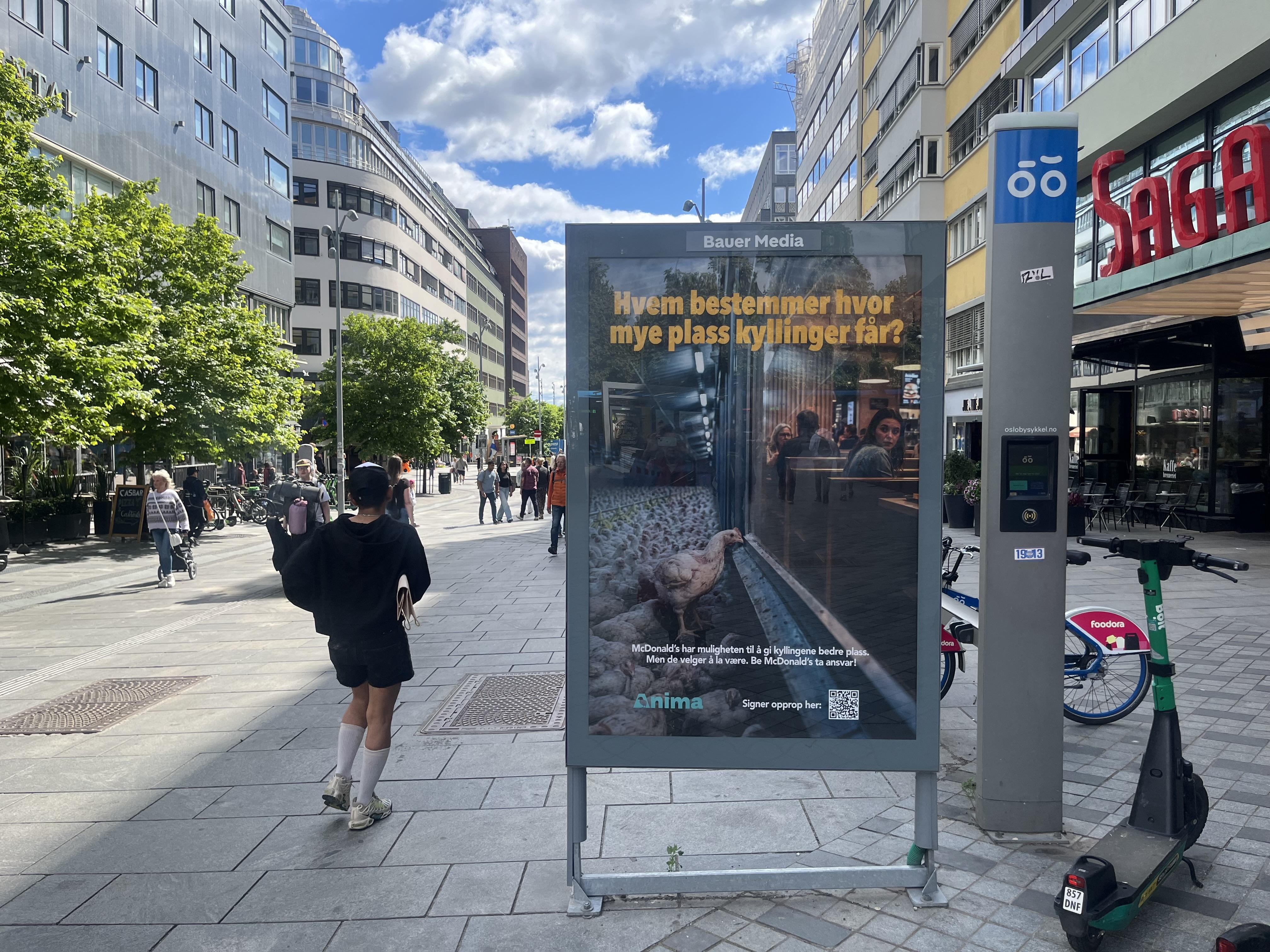 Apel Anima International pojawił się już w przestrzeni publicznej.