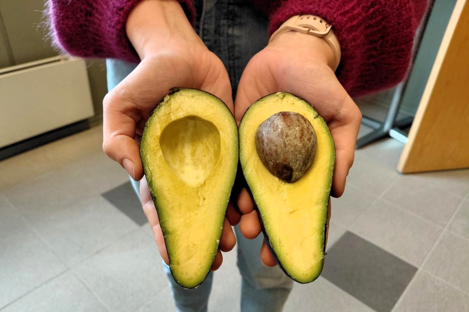 Avokado dyrket i Norge hadde god konsistens og smak.