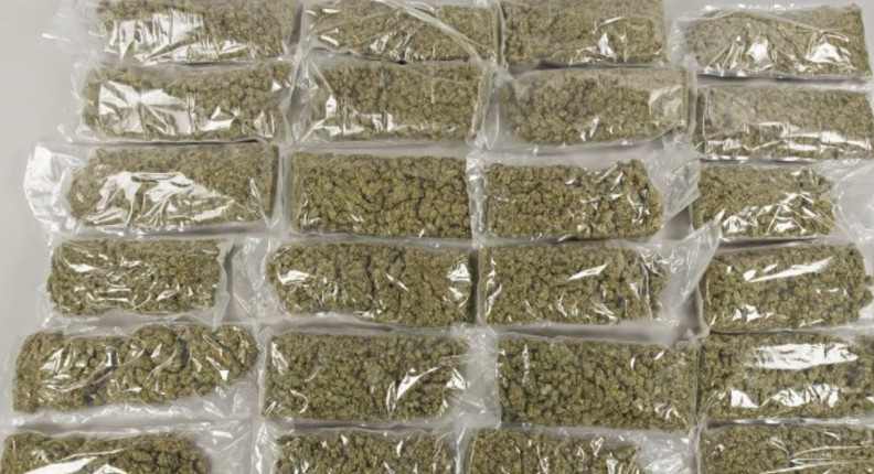 Skonfiskowana przez policję marihuana.