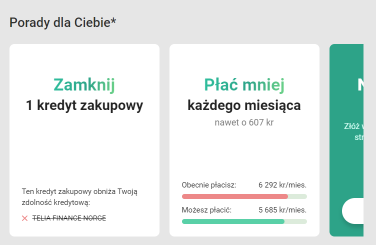 Przykładowy panel porad w GjeldsMonitor.
