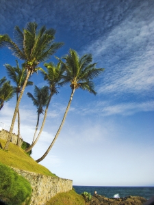 Fakty i mity o: Feriepenger