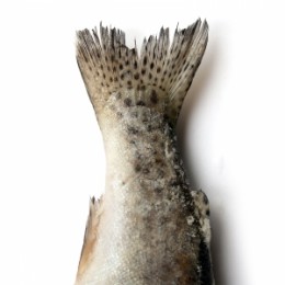 Polscy pracownicy oszukiwani i traktowani gorzej od norweskich?