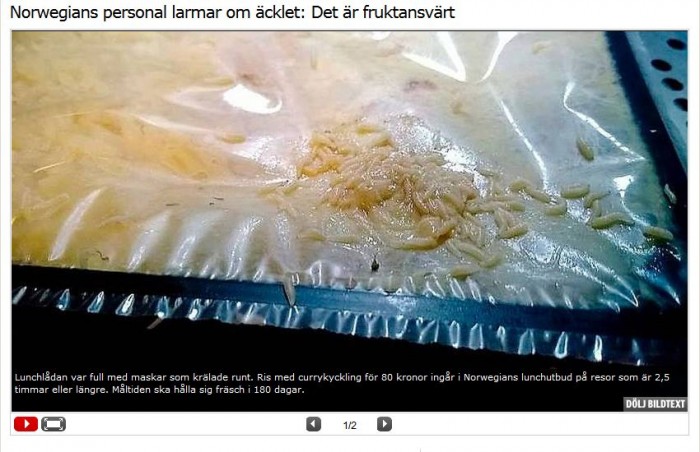 robaki w jedzeniu robaki w jedzeniu