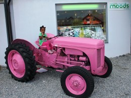 Lista zawodów najbardziej pożądanych przez Norwegów