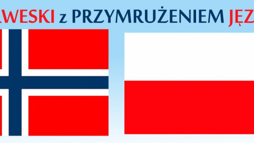 Norweski z przymrużeniem języka. A gdybym był młotkowym... – zdania warunkowe