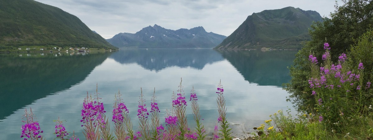 Norwegia w miniaturze: wyspa Senja mniej zatłoczona od Lofotów, ale równie piękna