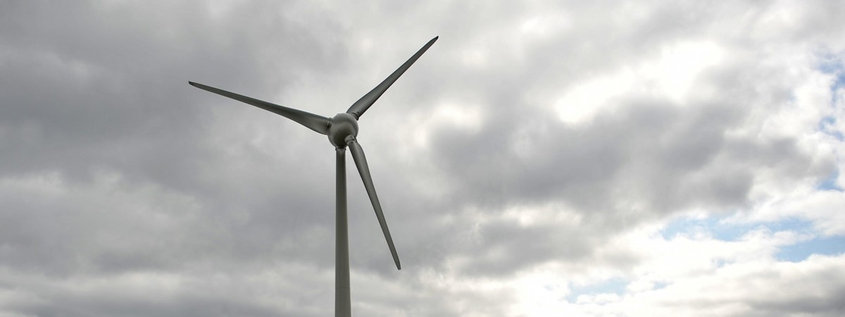 Gigantyczne dofinansowanie na wsparcie ekologicznego sektora biznesu