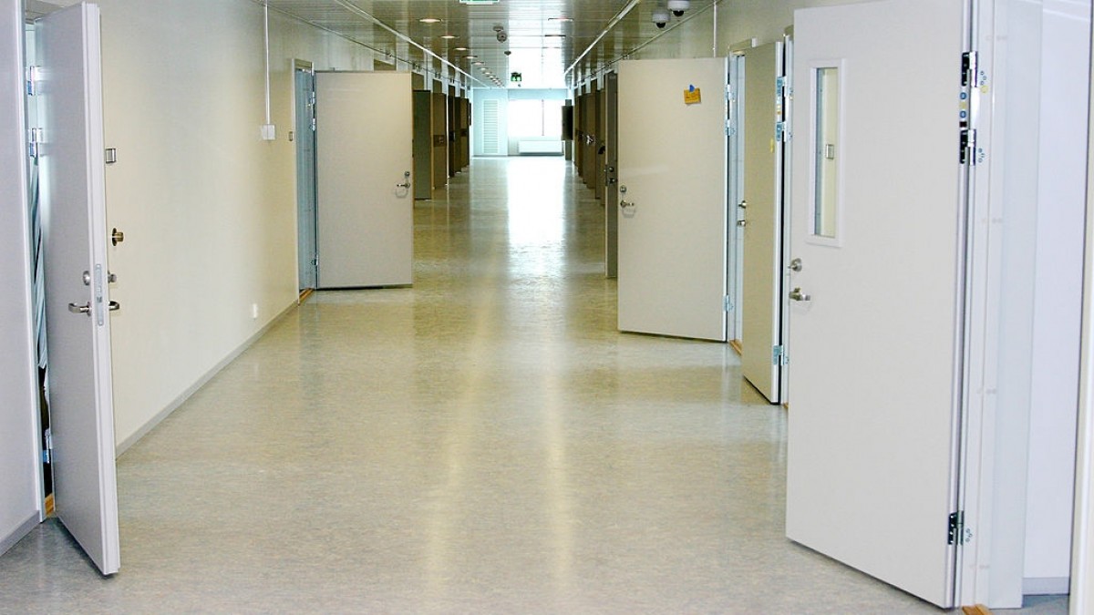 Kastracja i zabrany paszport za pedofilię, 50 lat za zabójstwo: Partia Postępu domaga się reformy prawa karnego