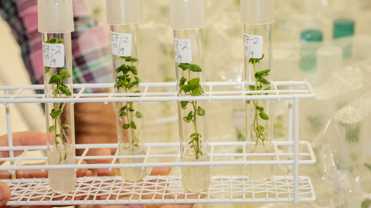  W Norwegii rusza wyjątkowy projekt. Ma zabezpieczyć przyszłość norweskiej żywności