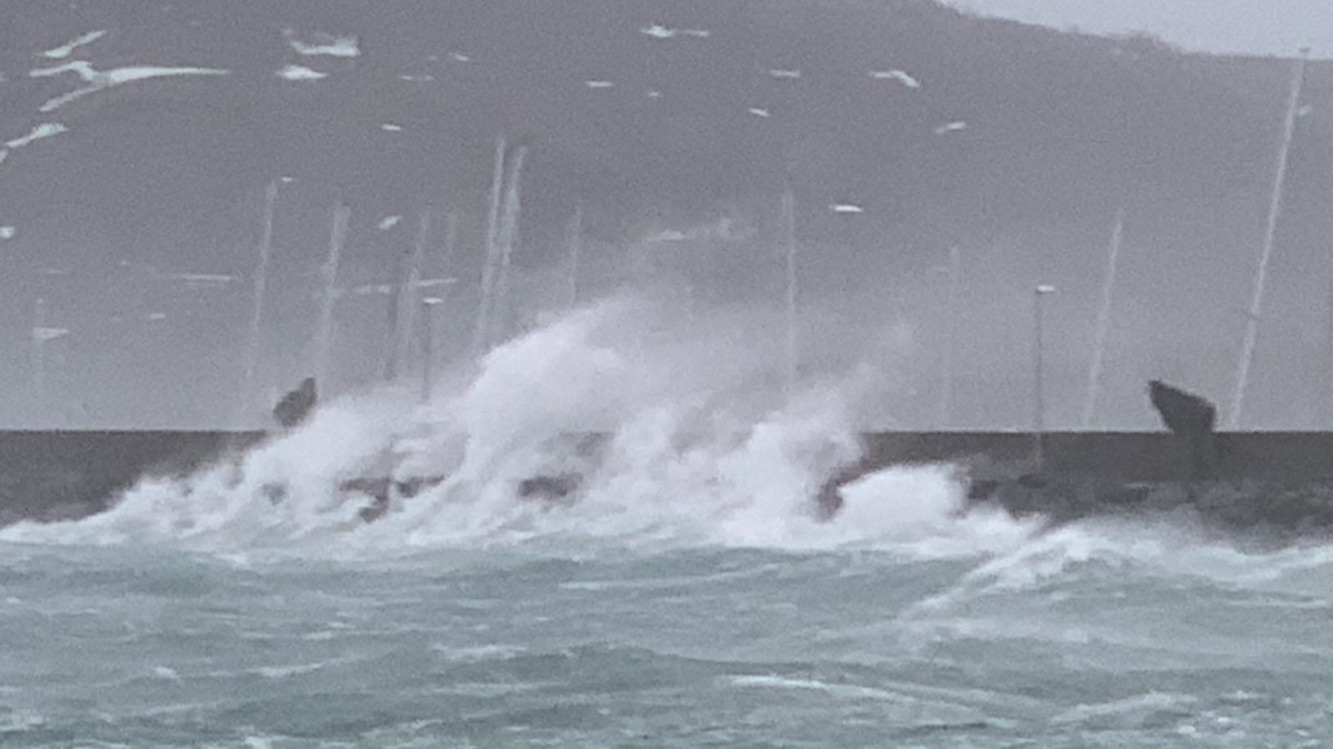 Setki zniszczeń, niedziałające lotniska i tysiące domów bez prądu: Norwegia podsumowuje straty po wichurze