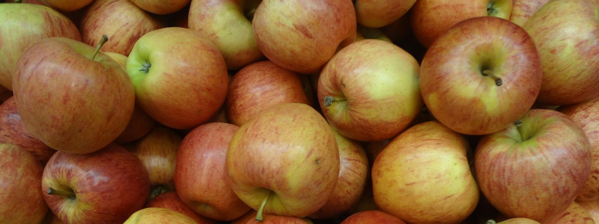 Wpadka norweskiego dystrybutora owoców. Promował rodzimą żywność… polskimi jabłkami