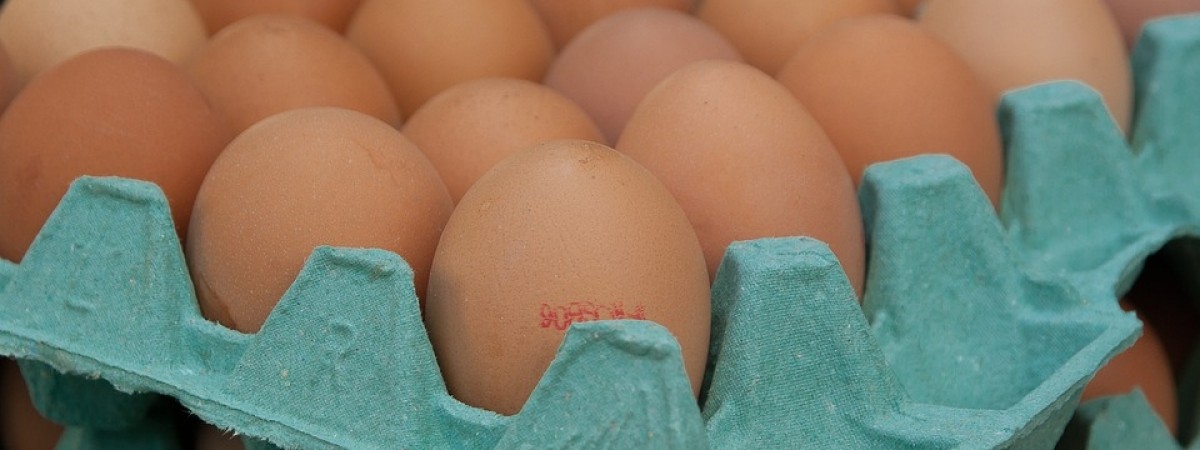 Norweski sanepid bierze pod lupę sklepowe półki. Mogły na nie trafić skażone jajka z Holandii