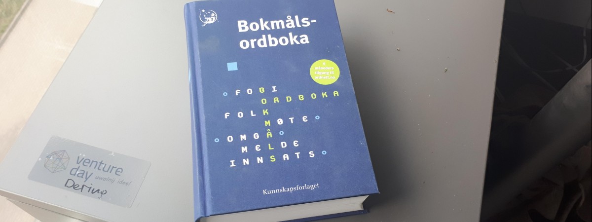 Tysiące definicji, przykłady i odmiana – te norweskie słowniki wato znać