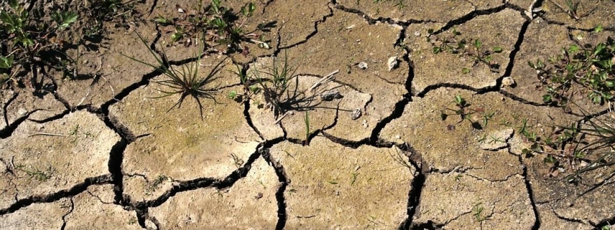 Naukowcy ostrzegają: tropikalne upały mogą stać się nową letnią normą