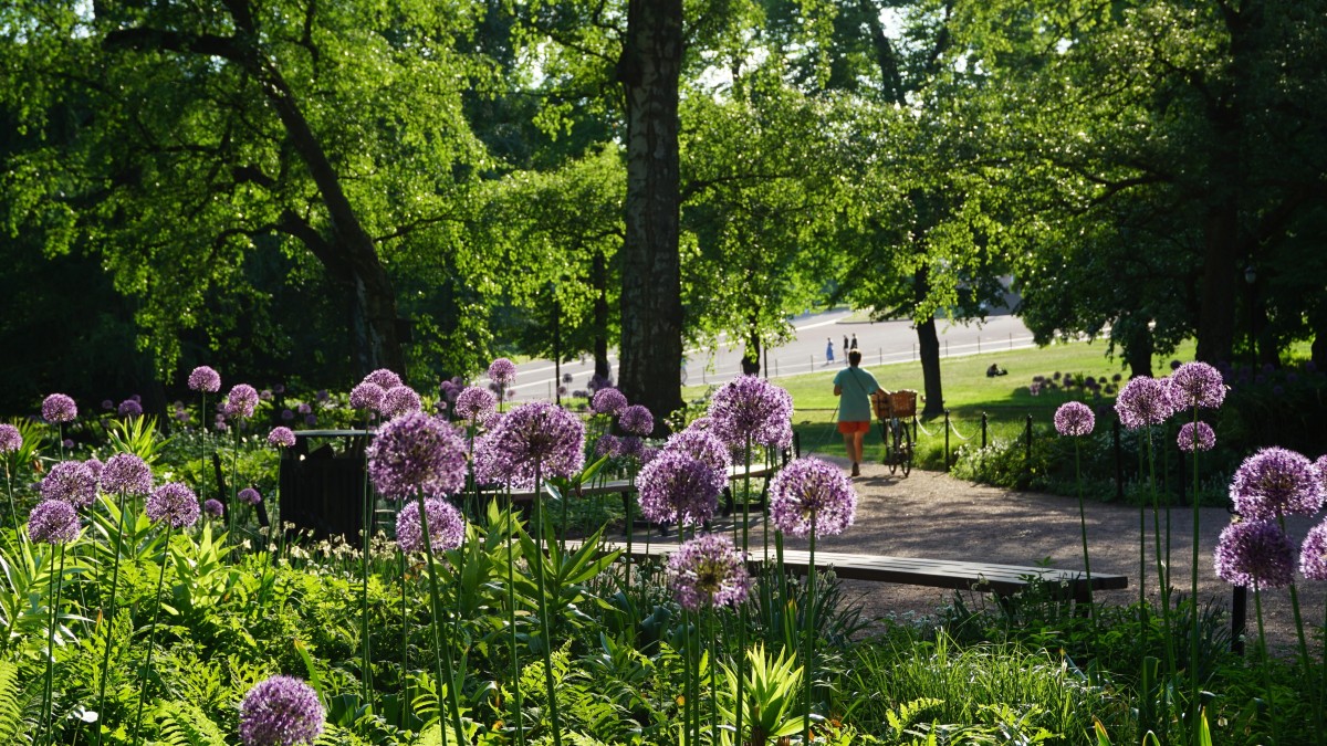 Zapowiada się pogodny długi weekend. Nowe prognozy