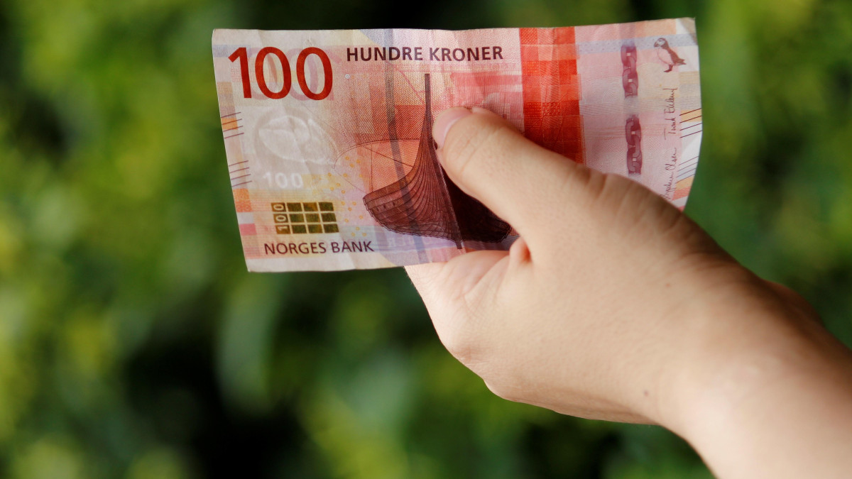 Korona norweska wciąż stabilna. Waluta z dobrym otwarciem 2024 roku