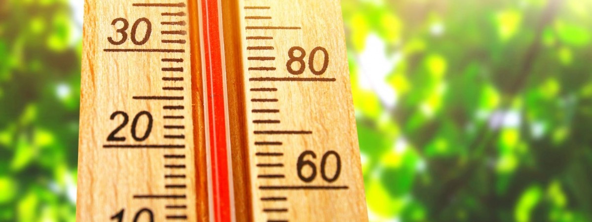 Jutro lato zawita do Norwegii. Pogoda w długi weekend może jednak rozczarować