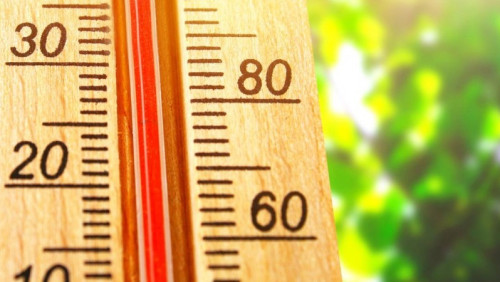 Jutro lato zawita do Norwegii. Pogoda w długi weekend może jednak rozczarować