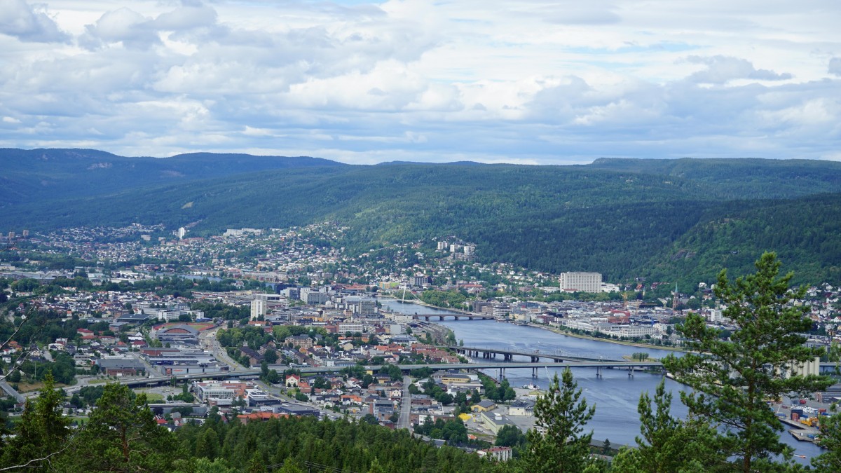 Chcą rozwiązania Viken. Wniosek przegłosowany