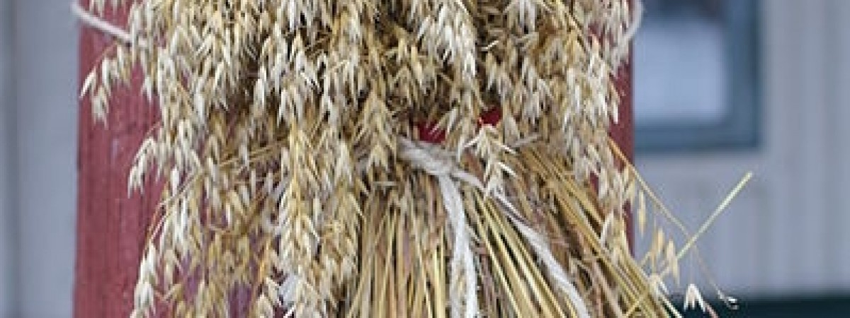 Fuglenek – pogański zwyczaj i bożonarodzeniowa ozdoba na dobry rok