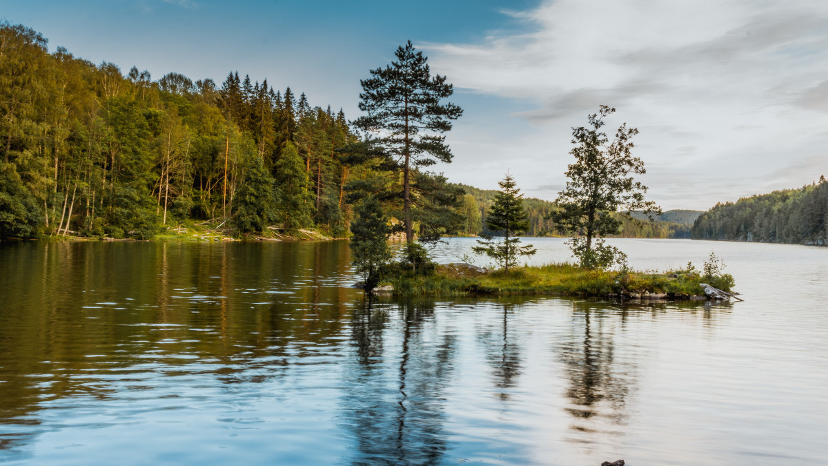 Czas na Østmarka. Norwegia tworzy 48. park narodowy