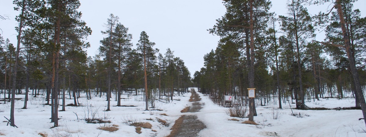 Zimno jak… na północy Norwegii. W Karasjok temperatura spadnie do -36 stopni