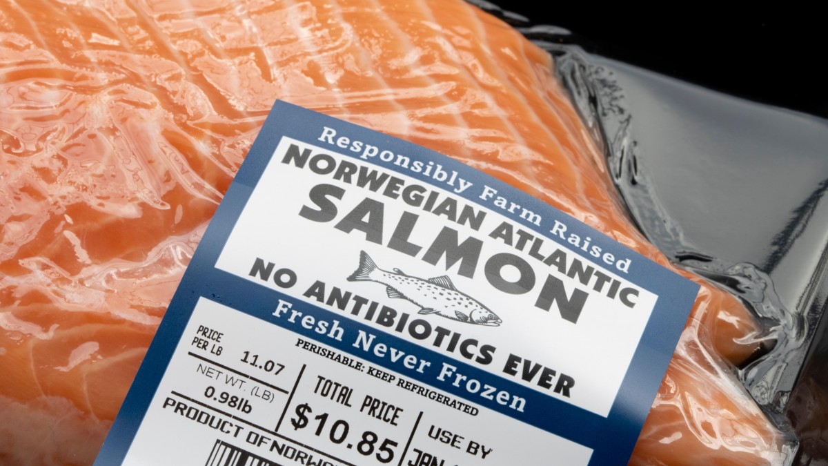 Rekordowy eksport norweskich owoców morza. Pomogły m.in. Polska i Chiny