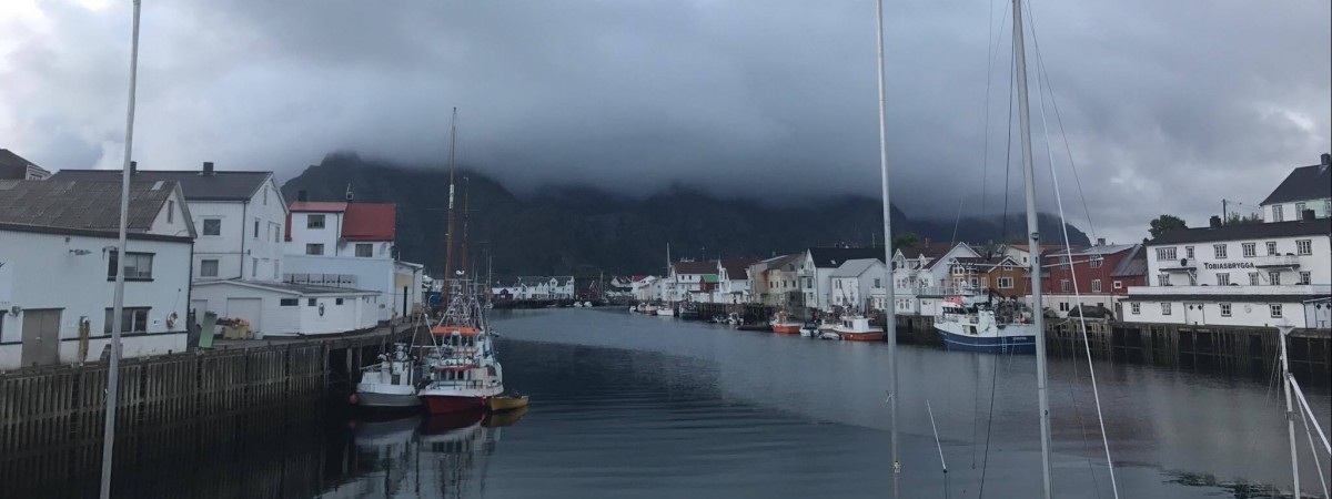 Norwegia staje się zbyt popularna? Lofoty toną w śmieciach, a turyści... okradają kozy 