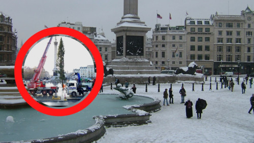 Brytyjczycy wyśmiewają norweski symbol wdzięczności. „Gdzie druga połowa drzewa?”