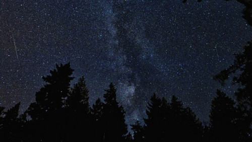 Deszcz meteorów i sonda, która zbada słońce: na niebie będzie co oglądać