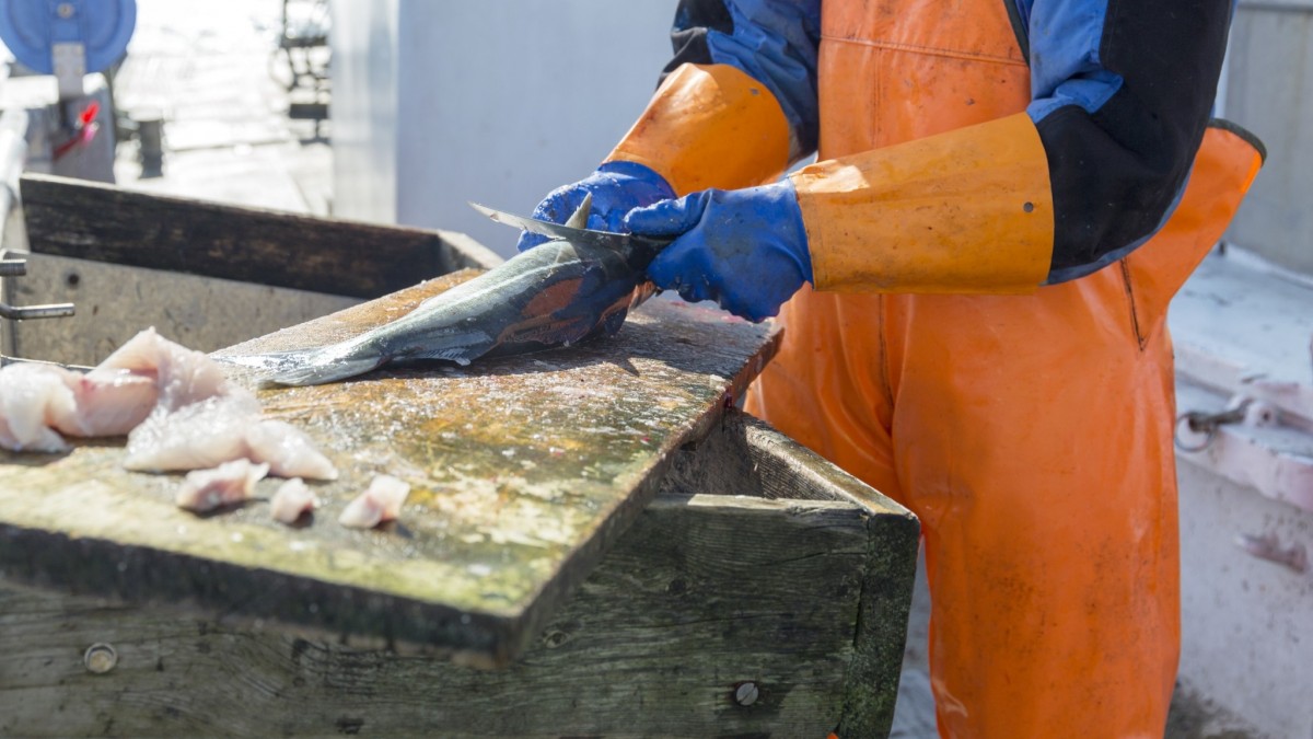 Polacy czują się dyskryminowani finansowo. Dostają niższe pensje niż Norwegowie z tej samej branży