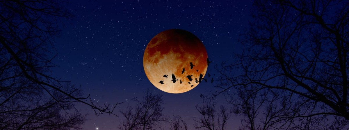 Fenomen na styczniowym niebie: Czerwony Superksiężyc oczami mieszkańców Norwegii [ZDJĘCIA]