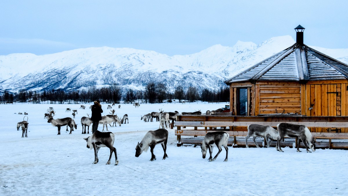 Norwegia nie chce likwidować farm wiatrowych mimo nieważnej koncesji. Saamowie dalej walczą o swoje prawo