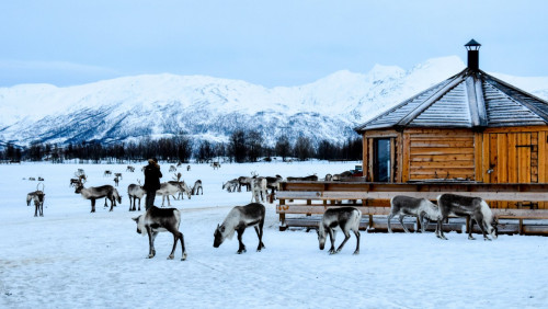 Norwegia nie chce likwidować farm wiatrowych mimo nieważnej koncesji. Saamowie dalej walczą o swoje prawo