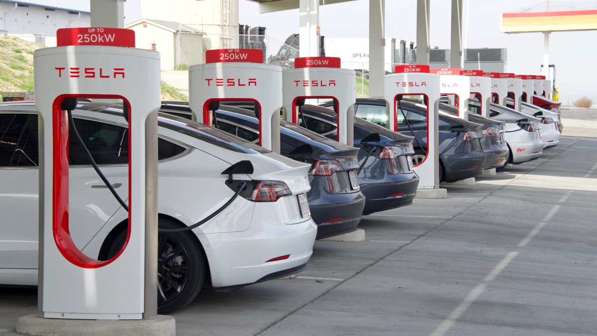 Niezadowoleni właściciele Tesli urządzili strajk głodowy. Elon Musk kpi: post uczynił mnie zdrowszym