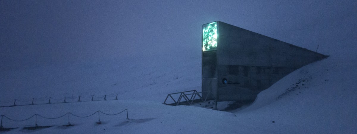 Niezniszczalna baza danych schowana w arktycznej lodówce: na Svalbardzie przetrwa 1000 lat