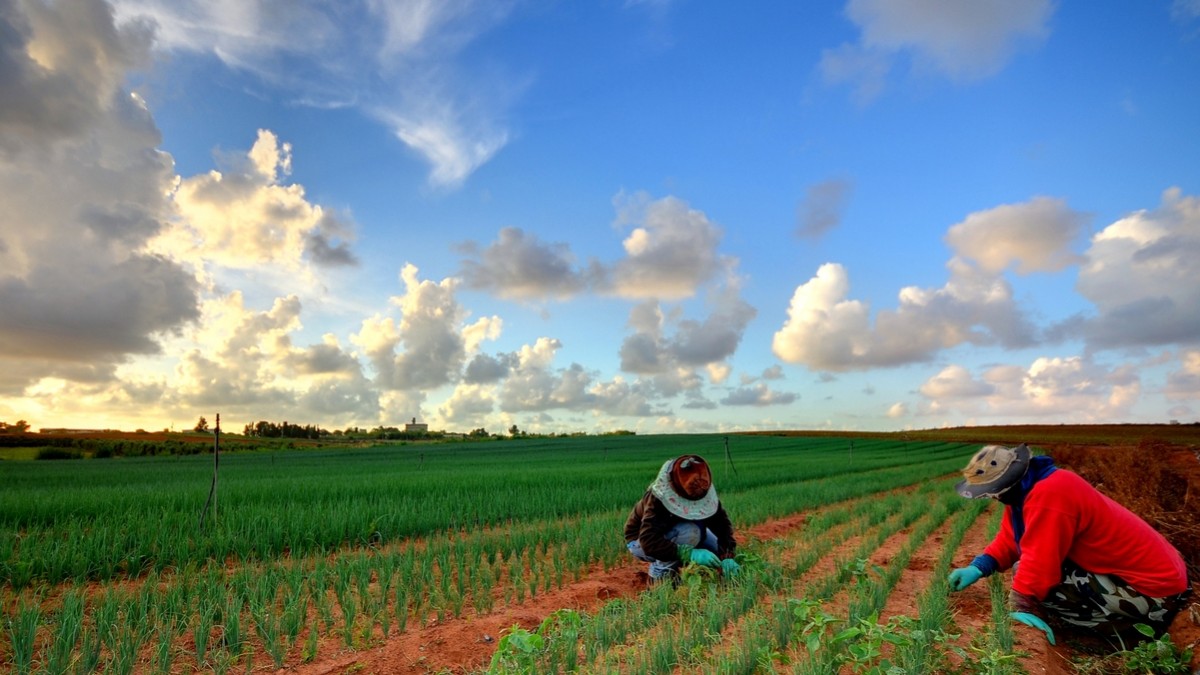 Koszmar pracowników sezonowych w Norwegii: każda kontrola wykazała nieprawidłowości