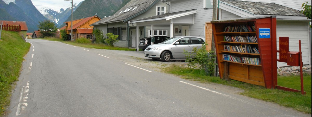 Raj dla samotników i moli książkowych: to miasteczko jest żywą biblioteką