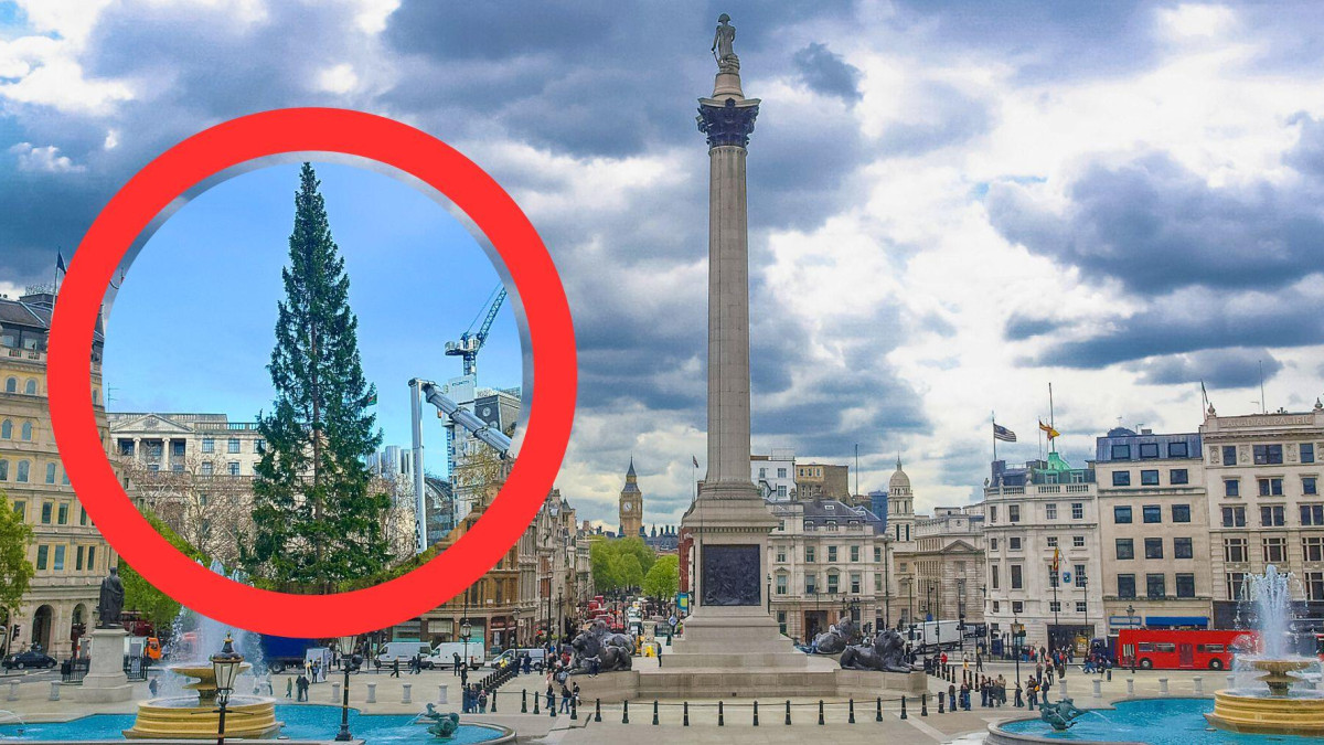 Norweska choinka podzieliła Londyn. "Z każdym rokiem coraz skromniej"