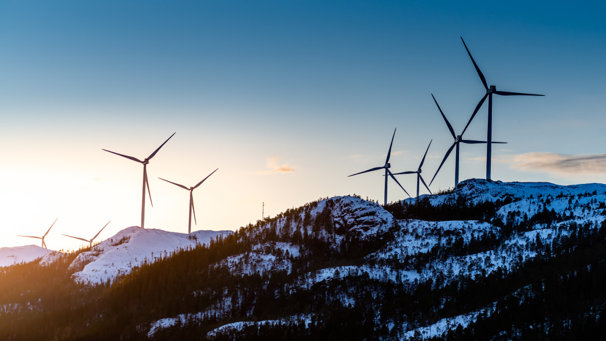 Finał sporu o farmę wiatrową Fosen. Hodowcy reniferów dostaną rekompensatę